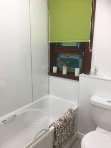 a bathroom with a toilet and a glass shower at situated at the heart of fort william in Fort William