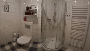 a bathroom with a glass shower and a toilet at Apartament Nad Starą Odrą in Wrocław