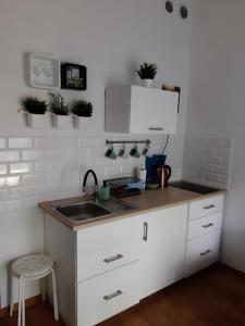 Kuchyňa alebo kuchynka v ubytovaní Apartament Nad Starą Odrą