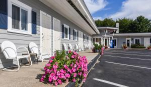 Gallery image of The Saco Motel in Saco