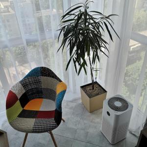 a chair and a plant in a room with a window at ACCOMMODO192 in Dnipro