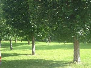 Zahrada ubytování Chambres d'hôtes la Chaumière