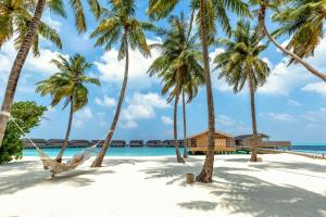 a hammock on a beach with palm trees at Kudadoo Maldives Private Island &ndash; Luxury All inclusive in Lhaviyani Atoll