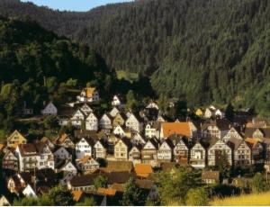 eine Gruppe von Häusern in einem Dorf in den Bergen in der Unterkunft Zur alten Brücke in Schiltach