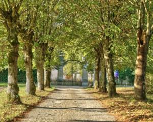 un camino a través de una fila de árboles en un parque en Château de Bel Ebat, en Nozay