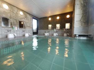 高崎的住宿－高崎益尼斯古奇魯特旅館，在酒店房间的一个大型游泳池