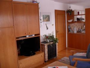 TV a/nebo společenská místnost v ubytování Ferienhaus Warmuth