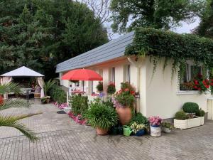 ein Haus mit Blumen und Pflanzen davor in der Unterkunft Schlossblick in Blankenburg