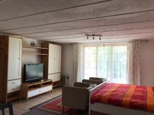 TV a/nebo společenská místnost v ubytování Chalet Murmeli