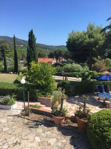 een tuin met een bank en bomen en struiken bij VILLA ANNA Appartamenti per vacanza in casale di charme in Marina di Campo