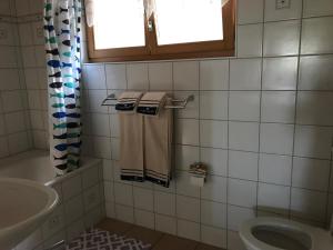 Koupelna v ubytování Chalet Murmeli