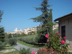 Foto dalla galleria di Casa per Ferie Ulivo d'Assisi ad Assisi
