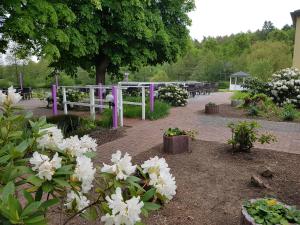 Afbeelding uit fotogalerij van Der Quellenhof in Helmstedt +8 foto's