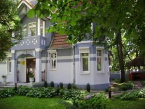 スヴェトロゴルスクにあるZolotaya Bukhtaの青白の家