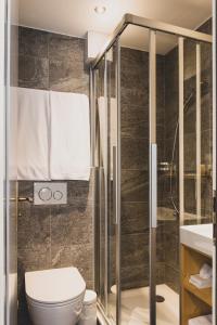 een badkamer met een toilet en een douche bij Pointe de Zinal in Zinal