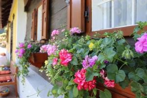 Φωτογραφία από το άλμπουμ του Ferienhaus Aurelia σε Kitzeck im Sausal