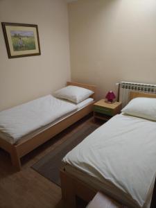 1 dormitorio con 2 camas y una foto en la pared en Pansion Ribnjak, en Našice