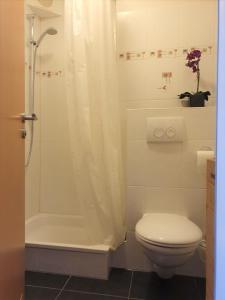 ein Bad mit einem WC und einer Dusche mit einem Duschvorhang in der Unterkunft Ferienwohnung Lieblingsort im Zentrum Winterbergs in Winterberg