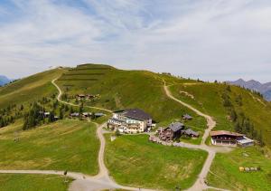 Przyroda w pobliżu tego hotelu