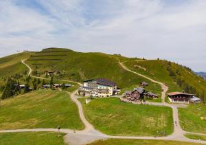 Przyroda w pobliżu tego hotelu