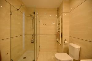 a bathroom with a toilet and a glass shower at PLAZA ALFONSO SÁNCHEZ FERRAJÓN in Jerez de la Frontera