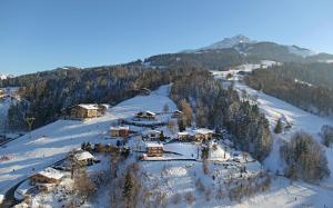 eine Ski-Lodge auf einem verschneiten Berg mit Bäumen in der Unterkunft Romantik Aparthotel Sonnleitn in Sankt Johann in Tirol