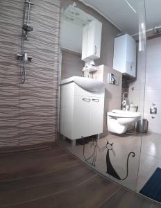 bagno con doccia, lavandino e servizi igienici di Studio Apartman Ždral a Daruvar