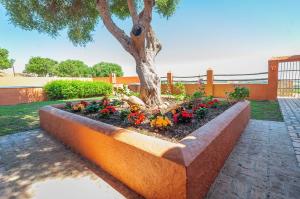 Vonkajšia záhrada v ubytovaní La Casa del Torero