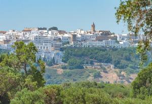 Výhľad na mesto Vejer de la Frontera alebo výhľad na mesto priamo z of the bed and breakfast