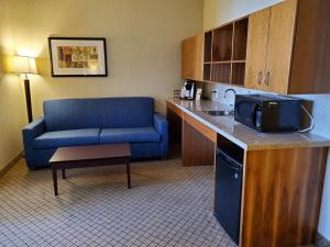 Kuchyň nebo kuchyňský kout v ubytování Holiday Inn Express Hotel & Suites Mankato East by IHG