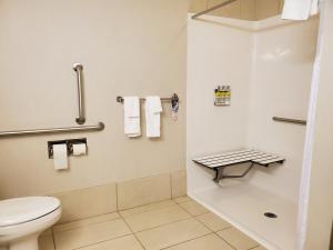 Koupelna v ubytování Holiday Inn Express Hotel & Suites Mankato East by IHG