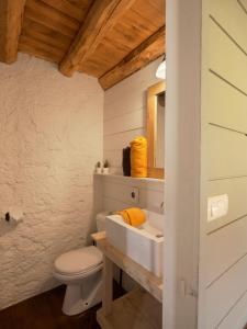 a bathroom with a white toilet and a sink at Moulin des Borderies in Singles