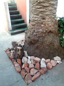 una pila de rocas alrededor de la base de un árbol en Shekináh en Villa Cura Brochero