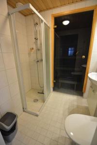 a bathroom with a shower and a toilet and a sink at Lumostar in Äkäslompolo