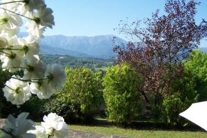 O vedere generală la munți sau o vedere la munte luată de la această vilă