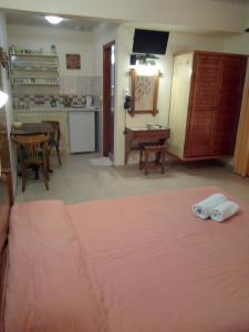 A kitchen or kitchenette at Pansion Matoula