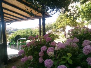 a garden with purple flowers and a pergola at Aritzo appartamento romantico in Aritzo