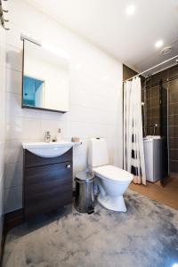 a bathroom with a toilet and a sink and a mirror at AinaBnb - Residence Kappsäcken in Vaasa