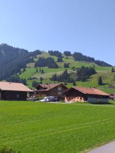 Galeriebild der Unterkunft Chalet Aloa in Adelboden