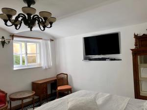 Televiisor ja/või meelelahutuskeskus majutusasutuses Sarah's Altstadt Oase Salzburg +39 fotot