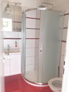 Kúpeľňa v ubytovaní Krásný apartmán u lesa, trolejbus do centra a BVV, parkování zdarma