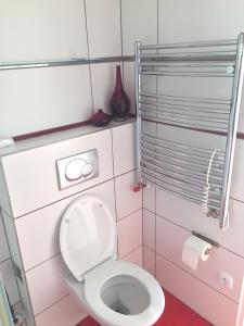 een badkamer met een toilet en een toiletpapierdispenser bij Krásný apartmán u lesa blízko centra a BVV in Brno