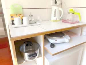Kuchyňa alebo kuchynka v ubytovaní Krásný apartmán u lesa, trolejbus do centra a BVV, parkování zdarma