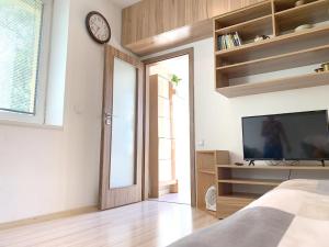 Televízia a/alebo spoločenská miestnosť v ubytovaní Krásný apartmán u lesa, trolejbus do centra a BVV, parkování zdarma