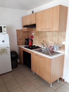 a kitchen with a sink and a stove top oven at La Lyonnais in Pleslin-Trigavou