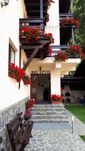 un bâtiment avec des fleurs et un banc devant lui dans l'établissement Casa Tad, à Buşteni