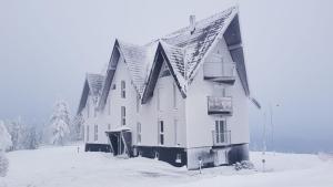 Divcibare Delux Apartman during the winter