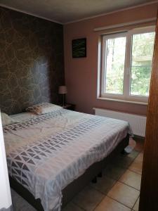 a bedroom with a bed and a window at Rainbow Lodge in Ursel