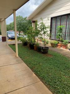 Gallery image of Suite Stay - Talladega in Talladega +29 photos