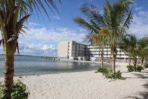 um hotel numa praia com palmeiras e água em Princess Bayside Beach Hotel em Ocean City